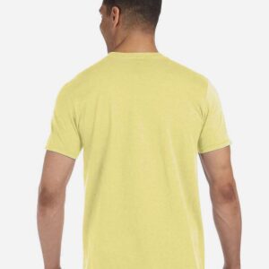 softstyle t shirt