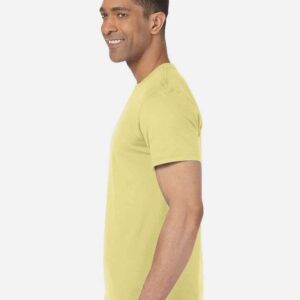 softstyle t shirt